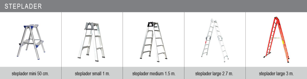 stepladdle